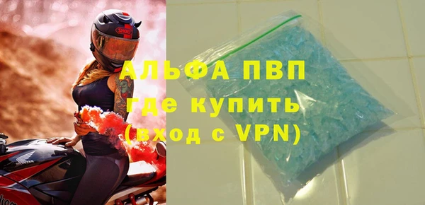ECSTASY Белокуриха