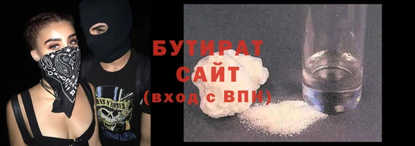 индика Осинники