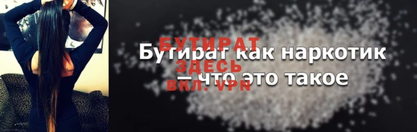 индика Осинники