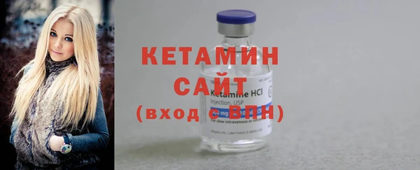 индика Осинники
