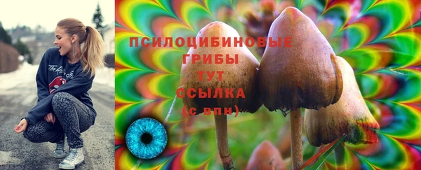 ECSTASY Белокуриха